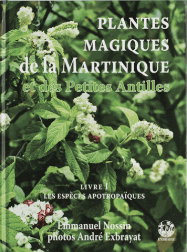 Emmanuel Nossin - plantes magiques de la Martinique Emmanuel Nossin - plantes magiques de la Martinique